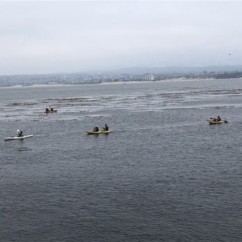 The Fish Hopper - The view of people canoeing - Seafood Near Me - Monterey, California The Fish Hopper - The view of people canoeing - Seafood Near Me - Monterey, California