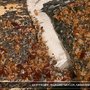 Photo of Vegas Bugs