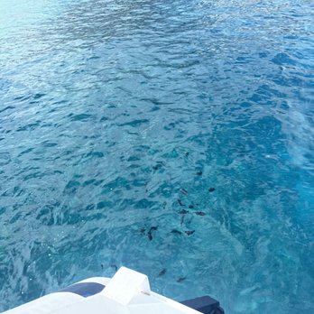 Quicksilver Charters - Fish behind the boat - Snorkeling Near Me - Wailuku, Hawaii Quicksilver Charters - Fish behind the boat - Snorkeling Near Me - Wailuku, Hawaii
