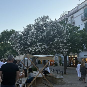 Downtown Ibiza - Spanish Near Me - Ibiza, PM