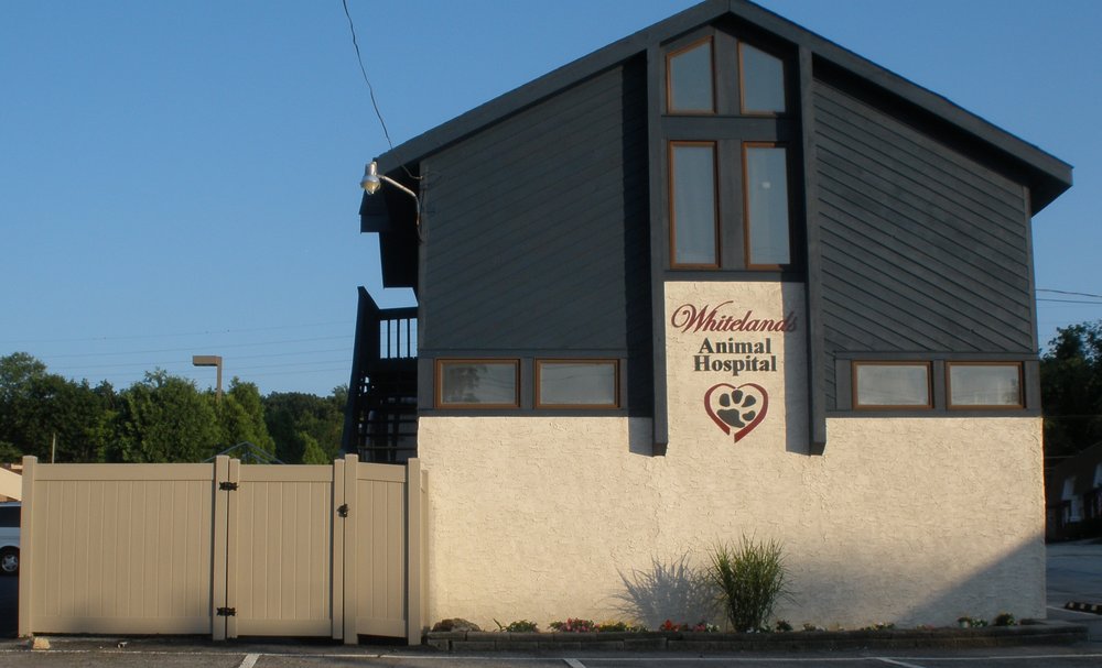 WHITELANDS ANIMAL HOSPITAL Updated September 2024 530 W Lancaster