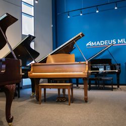 Amadeus Music