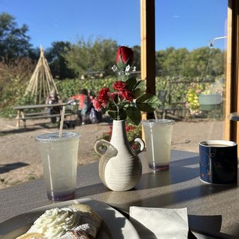 Bike In Coffee - Coffee & Tea Near Me - Albuquerque, New Mexico Bike In Coffee - Coffee & Tea Near Me - Albuquerque, New Mexico