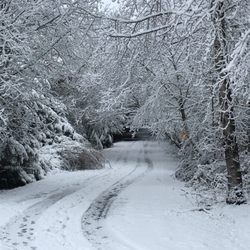 Arrowhead Property Rental - Fresh snow is so beautiful