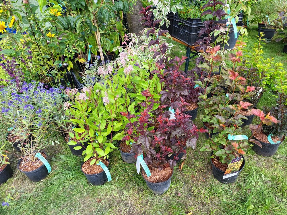 Freilichtmuseum Hessenpark