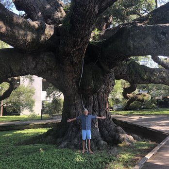 Treaty Oak Park - Parks Near Me - Jacksonville, Florida