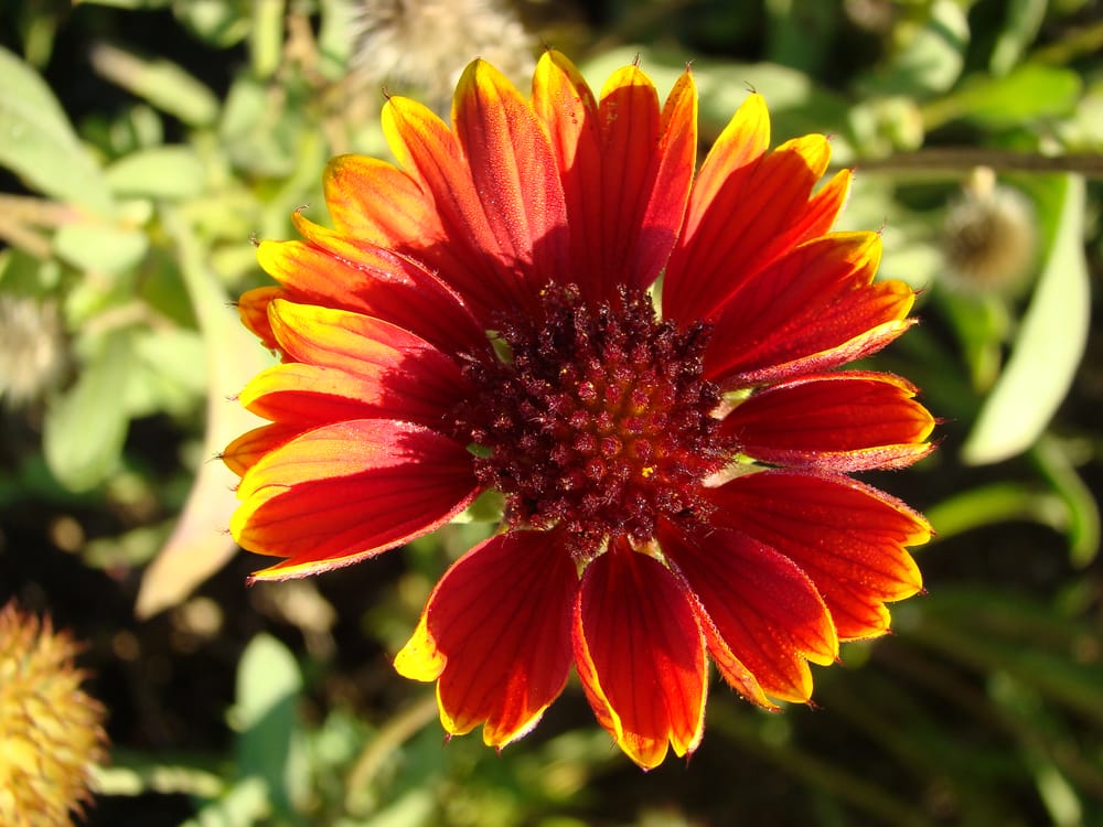 CROWN TOTAL LAWN SERVICE 35600 Law Rd, Grafton, Ohio Landscaping Phone Number Services