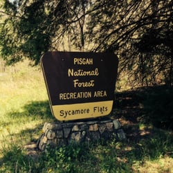 Sycamore Flats - Sycamore Flats