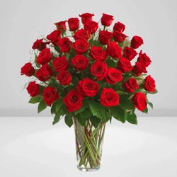 Allure Florist - Stunning "YES" do it !!
She will go CRAZY!