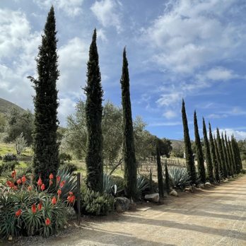 Baja Winery Tours - Mina Penelope - Wine Tours Near Me - San Diego, California