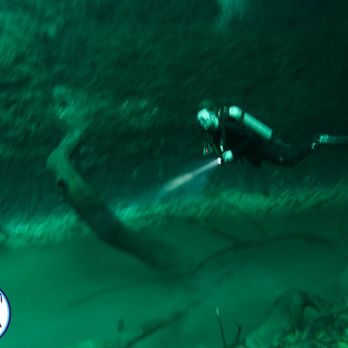 Agua Clara Diving - Cenote Angelita in Tulum - Tours Near Me - Tulum, ROO Agua Clara Diving - Cenote Angelita in Tulum - Tours Near Me - Tulum, ROO