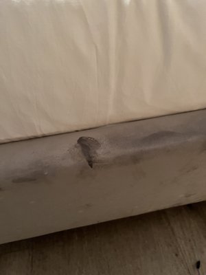 Selina Miami Gold Dust by null