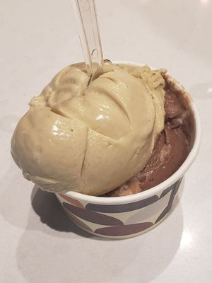 Gelato Boy by null
