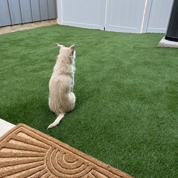 Southern Turf Co. - Artificial Turf Near Me - Austin, Texas Southern Turf Co. - Artificial Turf Near Me - Austin, Texas