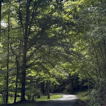 Satchidananda Ashram - Yogaville - Road to LOTUS - Yoga Near Me - Buckingham, Virginia