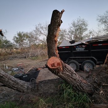 All-Around Hauler - Still cleaning the downed trees - Junk Removal & Hauling Near Me - Edinburg, Texas All-Around Hauler - Still cleaning the downed trees - Junk Removal & Hauling Near Me - Edinburg, Texas