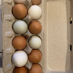 Corona Certified Farmers' Market - Eggs from Riverside