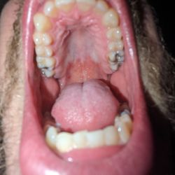 Dr. Dental - Waterbury - Self