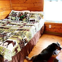 Lake Isabella / Kern River KOA - KOA Cabin 48 "Pet-friendly" Cabin