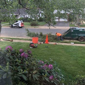 Ultimate Tree Service - Neighbor had trees removed! Brown spots, burn marks from their equipment and gas cans, drag marks from the trees they dragged across my lawn - Tree Services Near Me - Howell, New Jersey