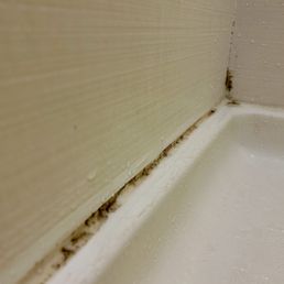 Mold Mold