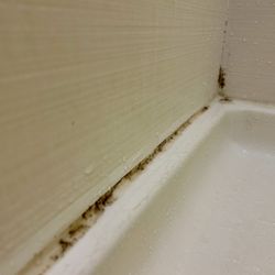 TownePlace Suites by Marriott Slidell - Mold