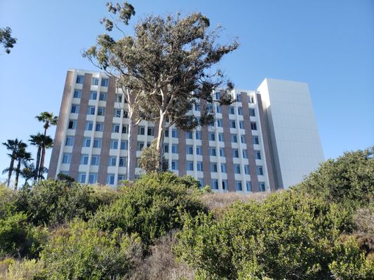 University of California, Santa Barbara by null