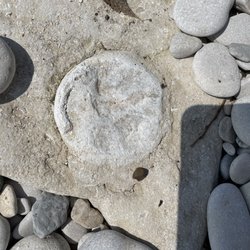 Lake Point Motel - Fossils are everywhere!