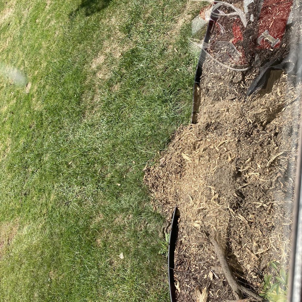 Stump Brothers - Stump next to our foundation all ground up (ignore the window reflections) - Tree Services Near Me Stump Brothers - Stump next to our foundation all ground up (ignore the window reflections) - Tree Services Near Me