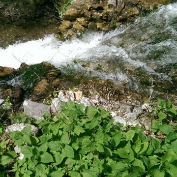 Valle delle Ferriere - Fiume - Hiking Near Me - Pontone, SA