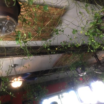 Greek Style Chicken - The ceilings are cool! - Greek Near Me - Fallbrook, California Greek Style Chicken - The ceilings are cool! - Greek Near Me - Fallbrook, California