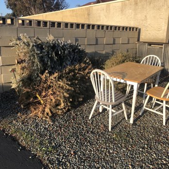 Park One Properties - Furniture and Christmas trees in front of property - Property Management Near Me - Walnut Creek, California Park One Properties - Furniture and Christmas trees in front of property - Property Management Near Me - Walnut Creek, California