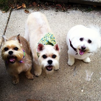 EmBark Pet Spa - Groomed! 9-28-13 - Pet Groomers Near Me - Milwaukee, Wisconsin