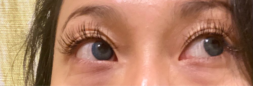 Lash Wellness Lab - Eyelash Extensions Logo