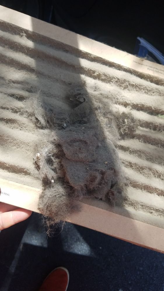 Slide of Daniel Dolinger Property Prep