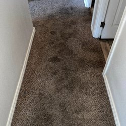 Sun Valley Carpet Care
