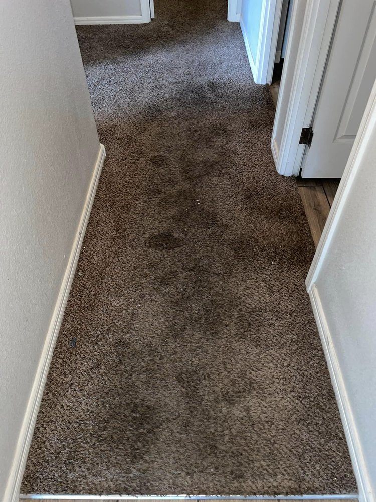 SUN VALLEY CARPET CARE Updated October 2024 32 Photos Avondale, Arizona Carpet Cleaning