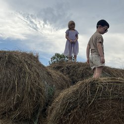 Crawford Farms
