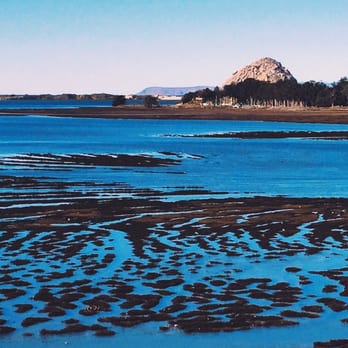 Los Osos Elfin Forest - Spectacular winter afternoon glow on the estuary! - Parks Near Me
