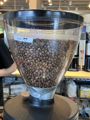 Peregrine Espresso by null