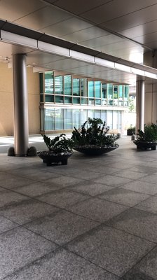 Hotel Villa Fontaine Grand Tokyo-Roppongi by null