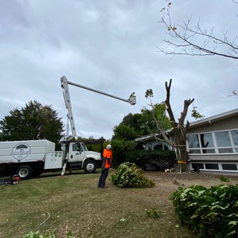 Southeast Arborist - Maple tree landed on house during storm - Tree Services Near Me Southeast Arborist - Maple tree landed on house during storm - Tree Services Near Me