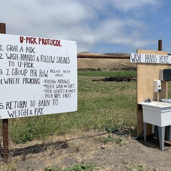 Blue House Farm - Wash your hands first - Farmers Market Near Me - San Gregorio, California
