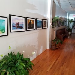 Springs Yoga Studio - Welcome to Springs Yoga!