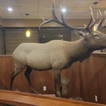 Colorado Grill - The Big Friendly Elk - American Near Me - White House, Tennessee Colorado Grill - The Big Friendly Elk - American Near Me - White House, Tennessee