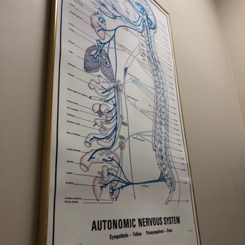 Richard S, Klein, D.C. P.A. - Educational "Autonomic Nervous System"Chart - Chiropractors Near Me - Boca Raton, Florida Richard S, Klein, D.C. P.A. - Educational "Autonomic Nervous System"Chart - Chiropractors Near Me - Boca Raton, Florida