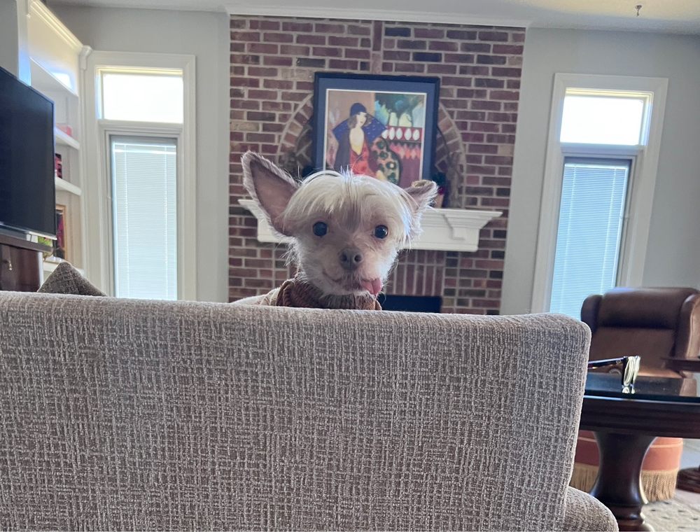 DECATUR ANIMAL CLINIC Updated September 2024 1445 E Pershing Rd