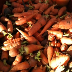 The Stop's Green Barn Farmer's Market