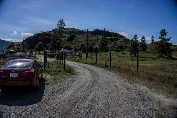 Synchromesh Wines by null