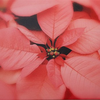 Escondido Art Association - Art Galleries Near Me - Escondido, California